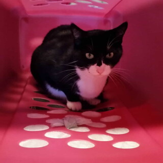 505-17-lg8b5f37d6247be93c