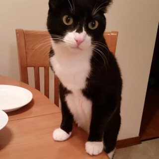 505-53-lg05c928ab3042d4e1