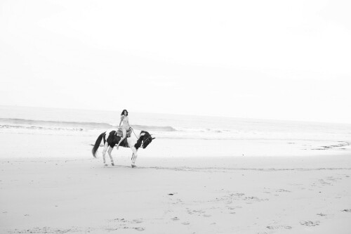 510D04FD 0B83 43EE 9A3F 0736FDEB6858