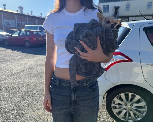 515524555 18511513339063142 7841885240762142166 nd10d27aba6bb0d10