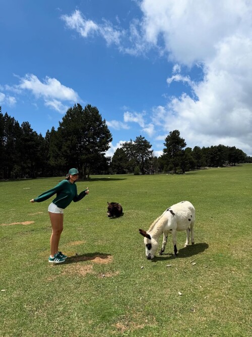 517976767 18519776395002248 2708183924232583298 n82ff0f040c1e3762