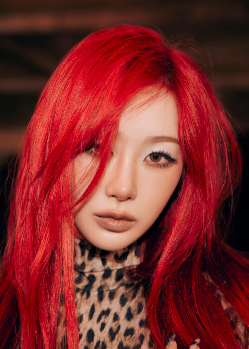 5181197548263450 04449d65d1ff27c694