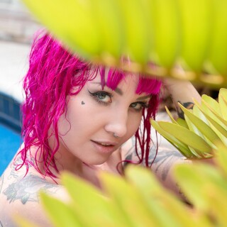 51a20aa2e858123f7a8ee84a6bca1d5cf6