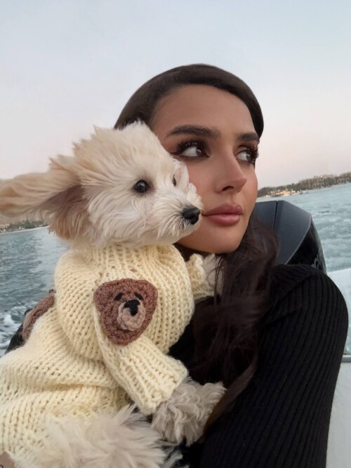 521527210959135931206a27175a73e7ad0