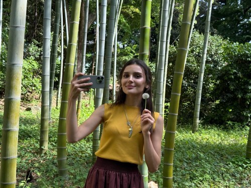 5238092142713368000a5ed8393dcd63a9a