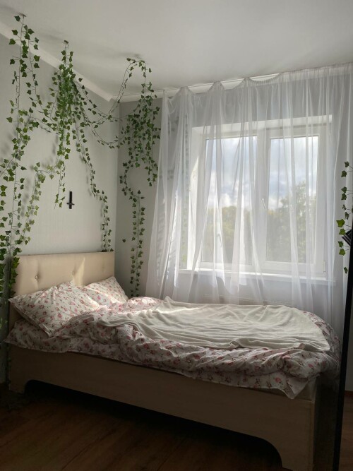 5258394758064227312 121e48559e2c8ad8539