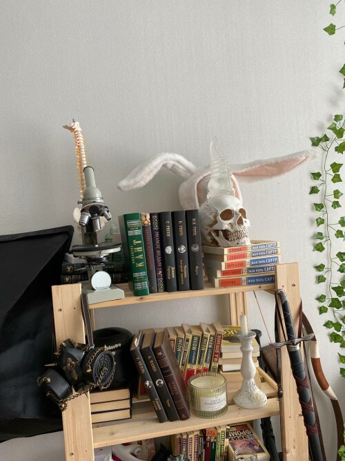 5258394758064227315 121decb1c52d03488c2