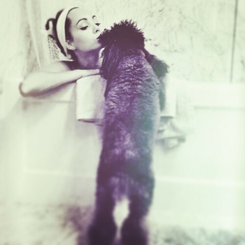 525 10310997 283876211793346 1222271300 n