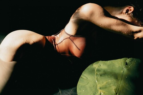 528132060 18013088834772543 7216055988264997036 ne2e912fd82f02642