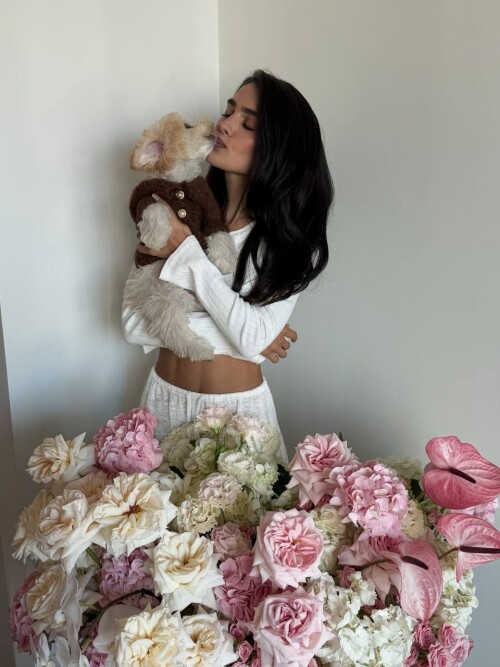 5296788737738532555c2df434eccb8cd10