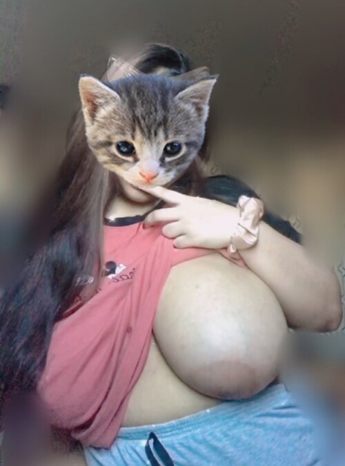 52E5MbsH8aa671411b337d6a
