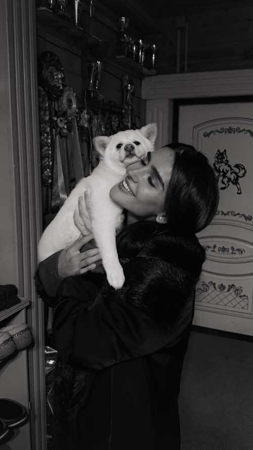 533033687761144540553998cb8f739ef49