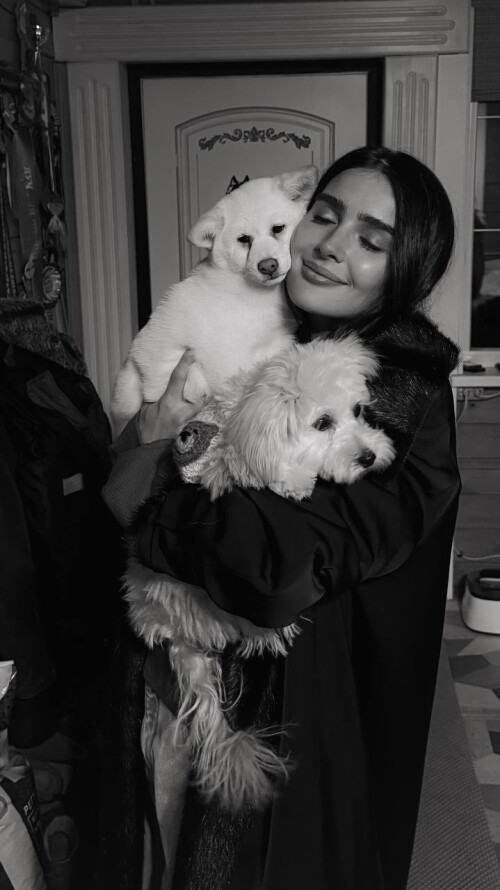 5330336877611445406187b17097d4baec9