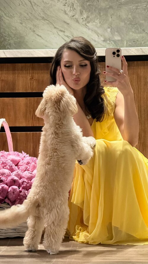 5336883674785904260995c2ebb441a9010