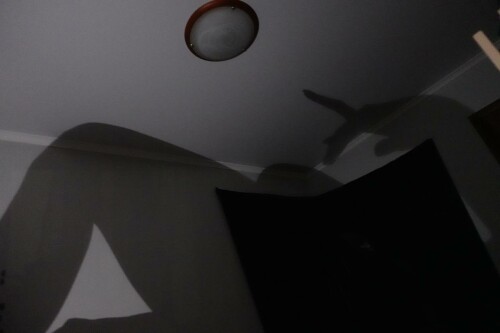 5337077111522966016 121a48dadfd869c3521