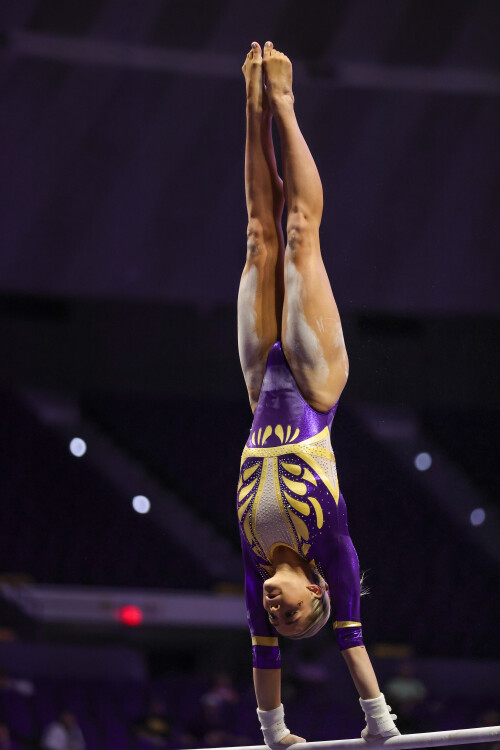 54209838662 ec3e6fa461 6k41b44725eda84dc1