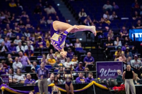 54210944799 6a2af84fde 5k0aa126ced4a49d80