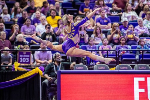 54210944834 e4305dde76 5k029cf6d74c00c904