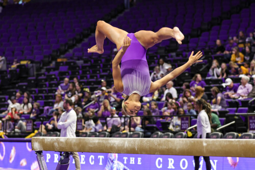 54211140185 ca1db08ed8 4kab4d1e0557410ec0