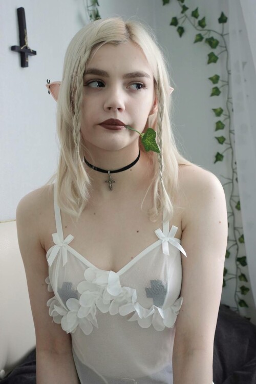 5424784896372620334 121