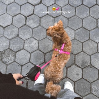 5445060992af49f52fcc0a27fe