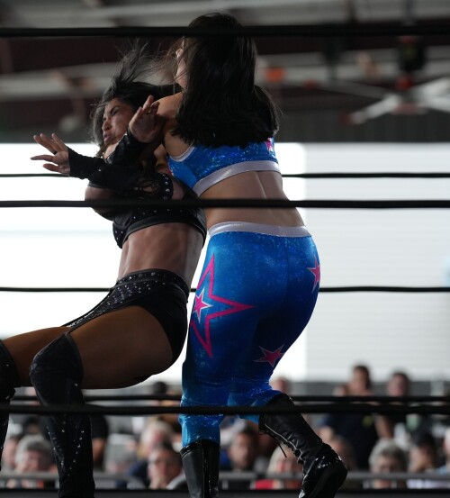 54522112234_8abdf49c58_oaee3249e3ad35d0b