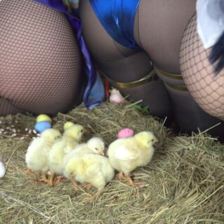 55-61f66b9acc0fe72485