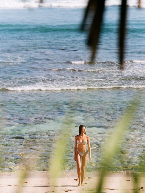 550340194 18408563554112096 6865291210645423147 nc6a150c2c7254b90