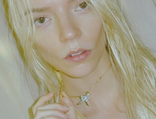 550799393 18528751150018334 5584820532400658726 n7b291b9975dde995