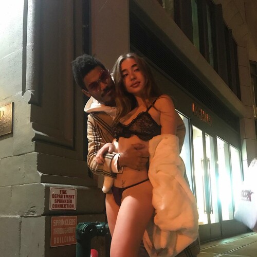 56152740 ayla 1642440227670521681 284481273f4d42c22209fa05