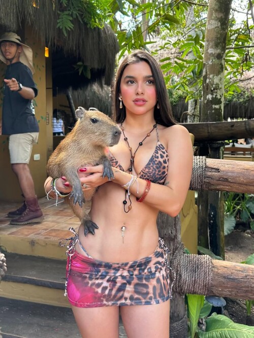 562560889 18528962533002786 2342658540463290474 ne9a73a3d112b23bf