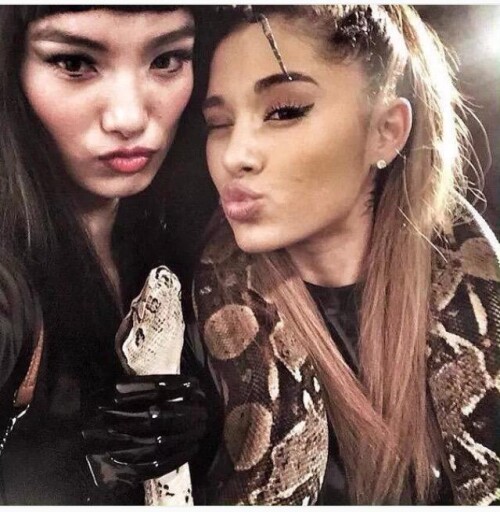 567658739bd1a025f47267d