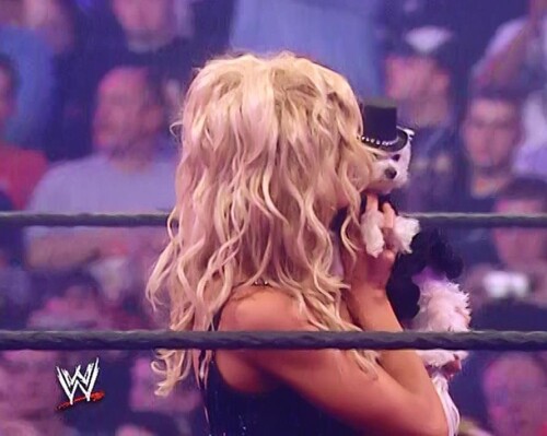 575465 455093791232473 911794921 na2c540cc11ea7d96