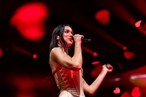 579558871 image0020a2422ad8558401f7