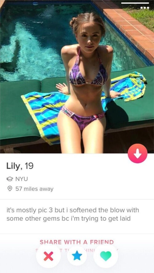 58e37c54053d86a43.jpeg