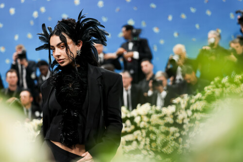 595618537_charlixcx-88980dd314f535c59