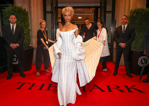 595636329_tyla2-10a434a88adc5cb5a6