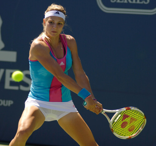 5980296665_967c8e6f64_ba365a78f291299ea