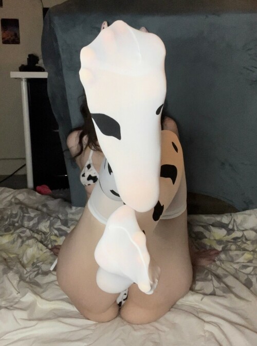 5EC48768 F09E 4EFC 8AF2 9FB7CD574B17