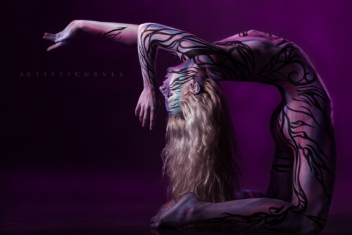 5a8c5cc7095021d52566459698a6e