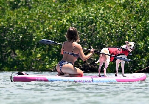 5iiyyckzhmnm8c871f5e6ab0cf45