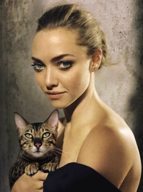 6 xVHPLuneb4ac234e1245b01