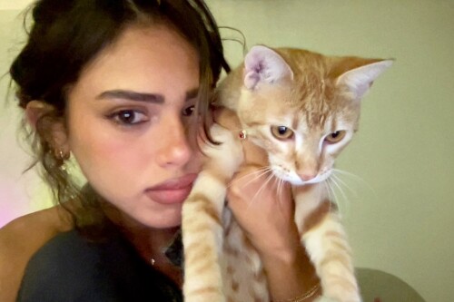 6 Image7b55ee37cadd948b