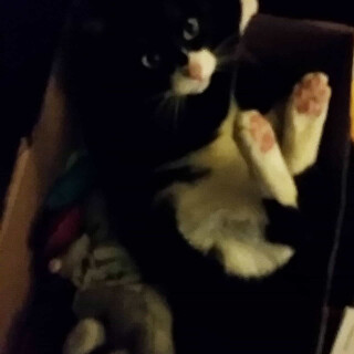 603-101-lg74258f5a33ea87d8