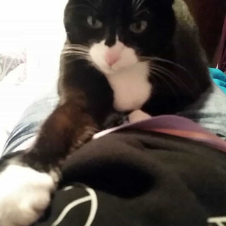 603-103-lgc6a6cf377bd6c034