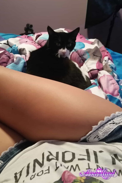 603 18 lg312e298142198e8d