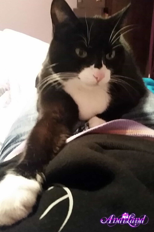 603 53 lge81949522f2c2103