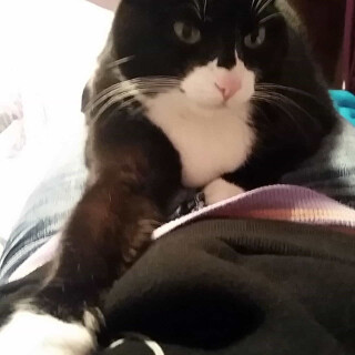 603-53-lge81949522f2c2103