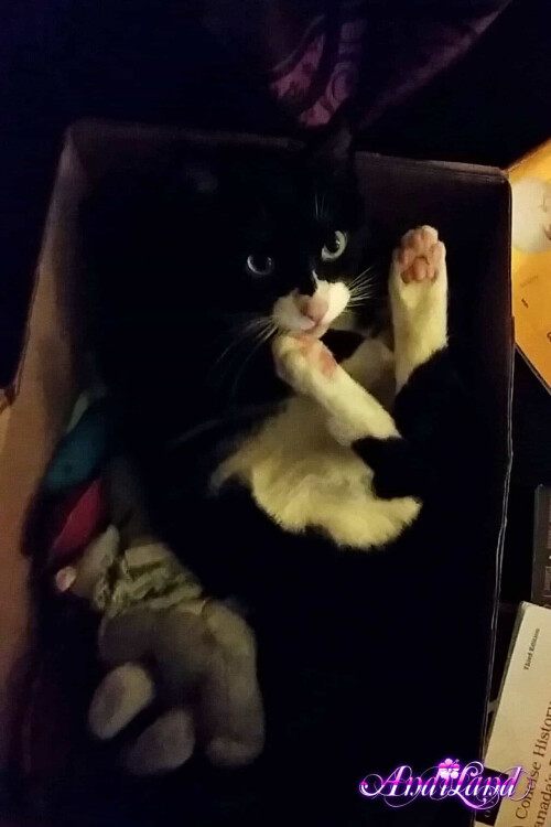 603 84 lg5a3508349834c6c1