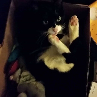 603-84-lg5a3508349834c6c1